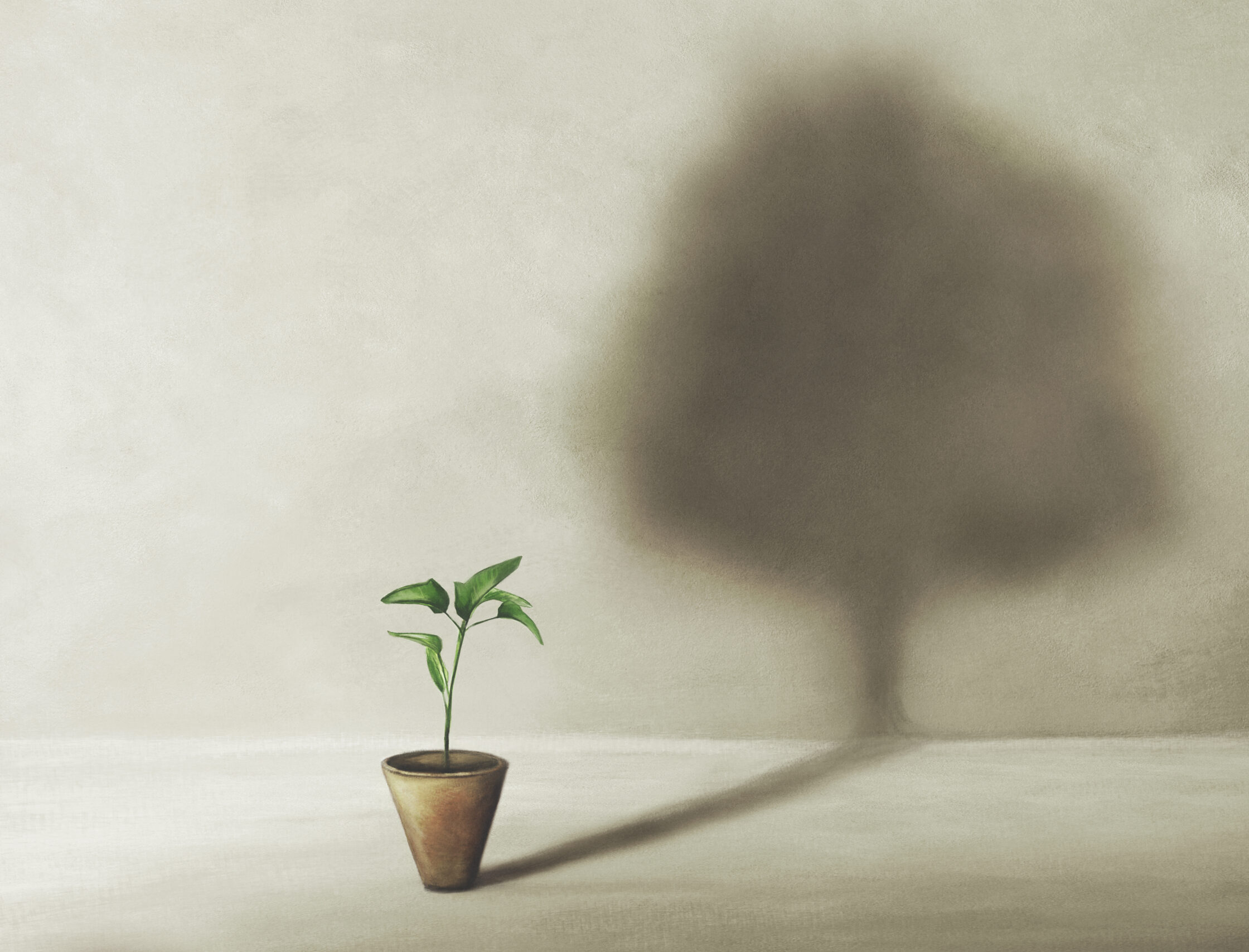 birth of a small plant with surreal shadow of a large tree, concept of life